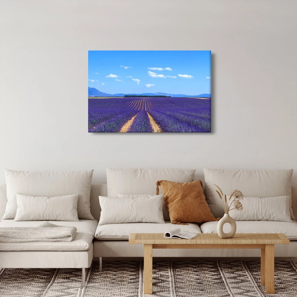 Kép - Levendula mező (90x60 cm)