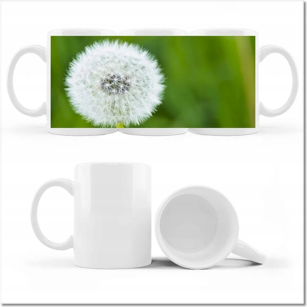 Pitypang fényképes bögre Virág Virágok