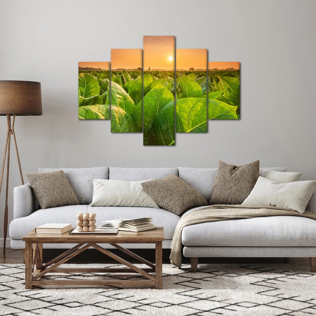 Kép - Mező (150x105 cm)