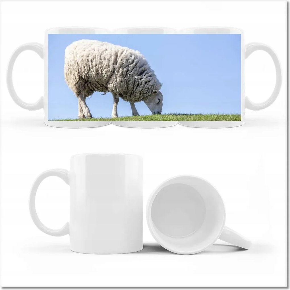 Fotó bögre Bárány legeltetés közben