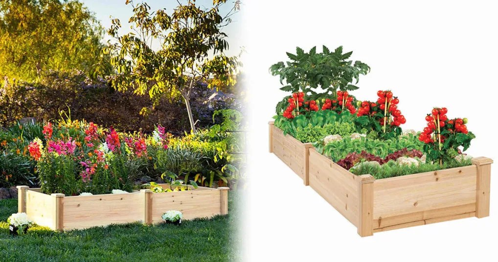 Két rekeszes fa palántázó