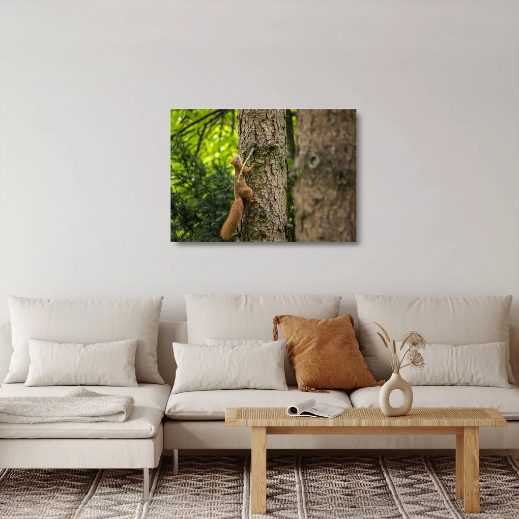 Kép - Mókus (üvegen) (70x50 cm)