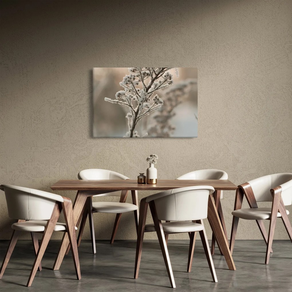 Kép - Növény fagyban (90x60 cm)