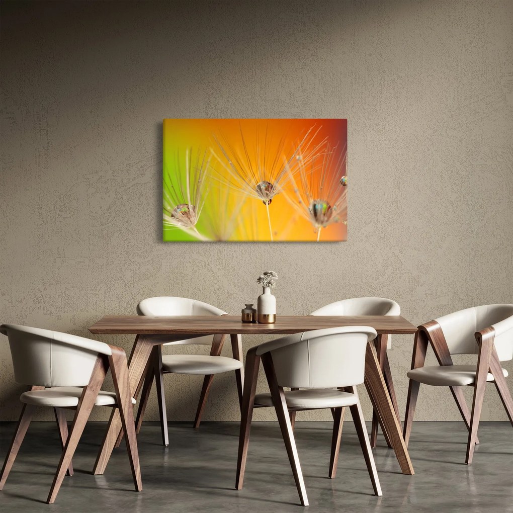 Cseppek a növényen képe (90x60 cm)
