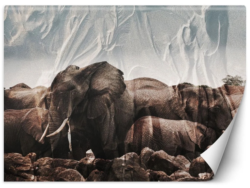 Gario Fotótapéta Elefántok egy csordában Anyag: Vlies, Méret: 150 x 105 cm