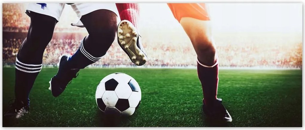 Fotótapéták 250x104 Labdarúgók Labdarúgás Foci Ág Dugók