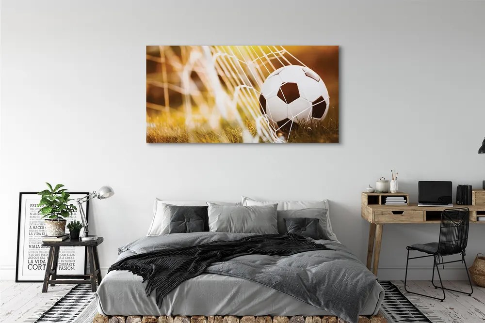 Canvas képek A labda sárga fű háttér 125x50 cm