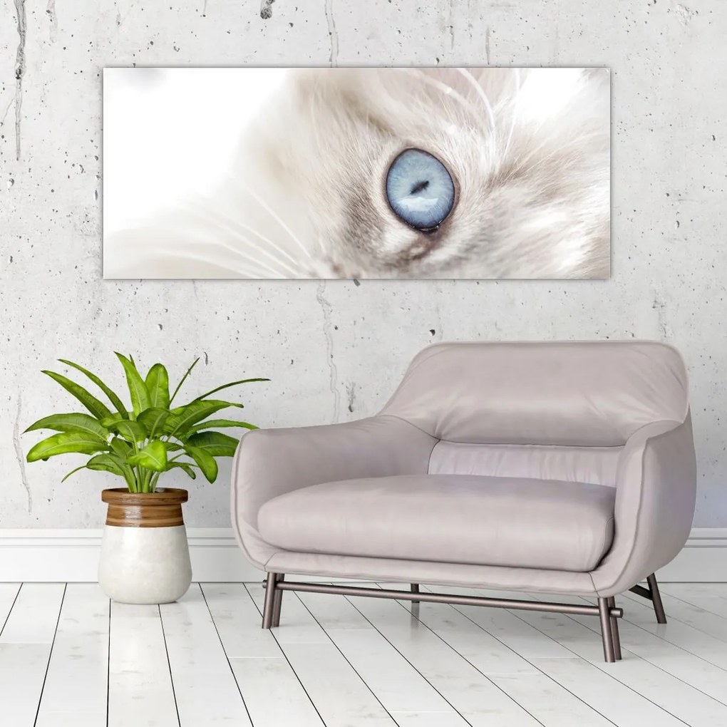 Kép - Kék szemű macska (120x50 cm)