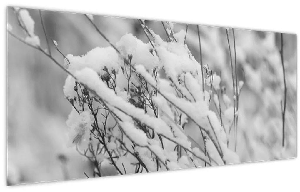 Kép - Havas ágak (120x50 cm)