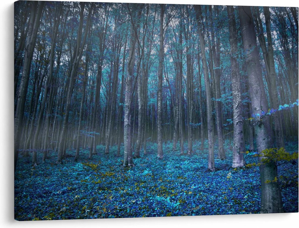 Kép - varázslatos erdő (70x50 cm)