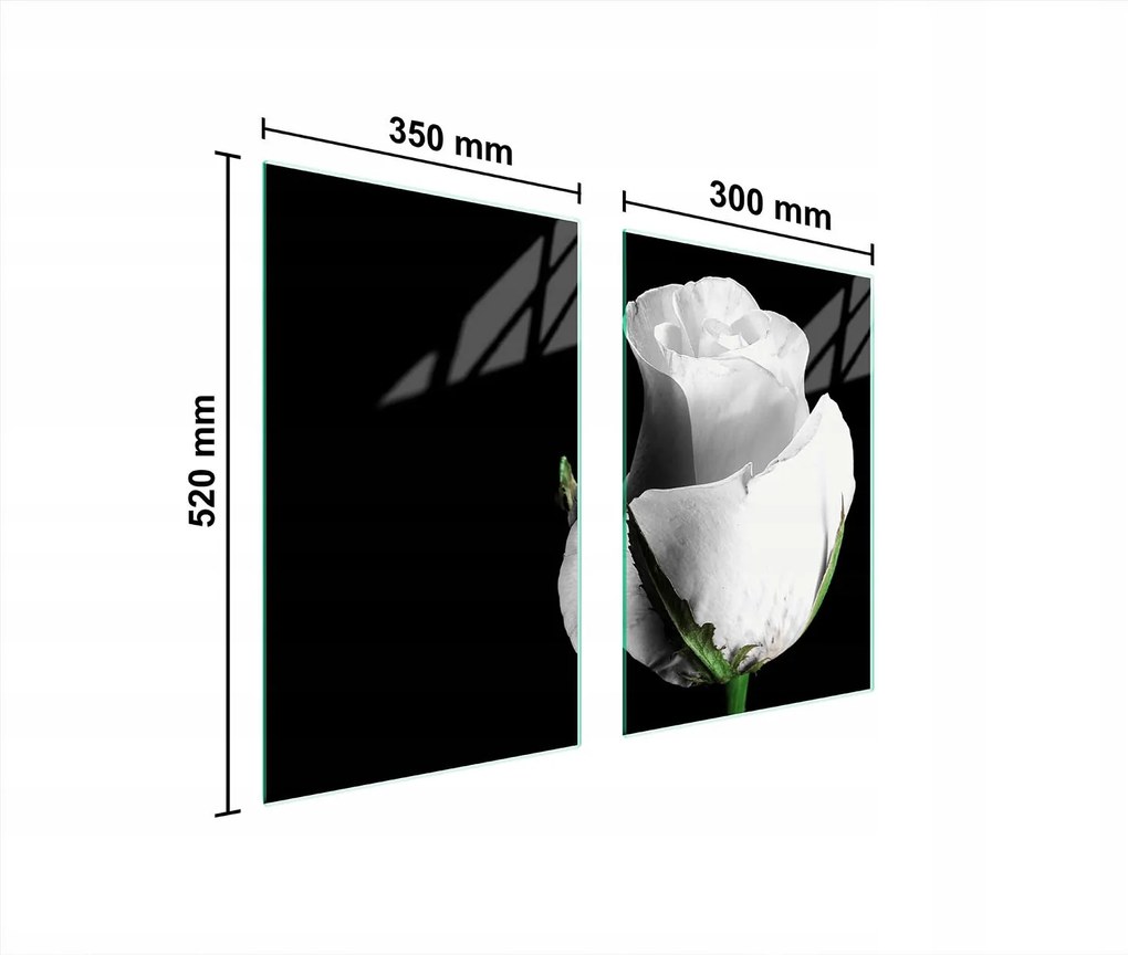 Üveg Konyhai Védőlap 65x52 Rózsa