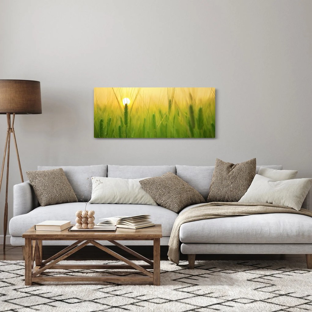 Kép - Mező gabonával (120x50 cm)