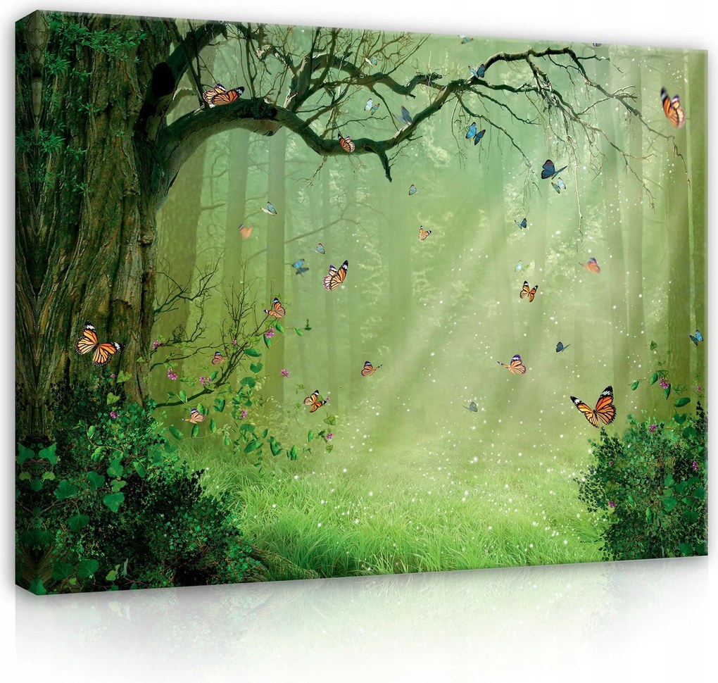 Vászonkép 100x75 Meseerdő varázslatos pillangók fény mágia természet nyugalom