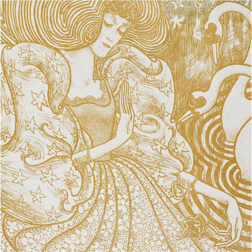 Fotótapéta Flizelin Fali Ragasztó Szett Női elegancia 250x250 Ragasztó