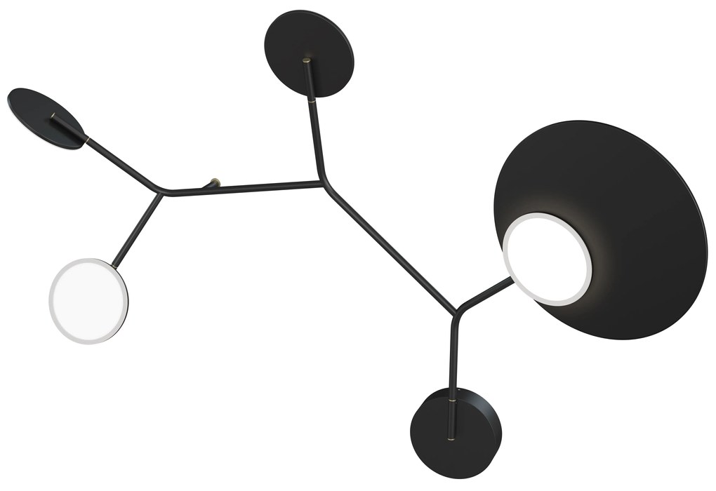 Ballon 5 B fali lámpa, többféle változatban - TUNTO Modell: fekete keret és burkolat, diófa rétegelt lemez panel