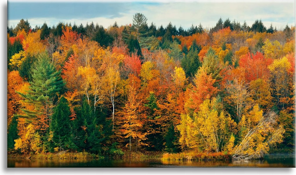 Vászonkép Színes Levelek Fák Ősz Természet 80x40 cm