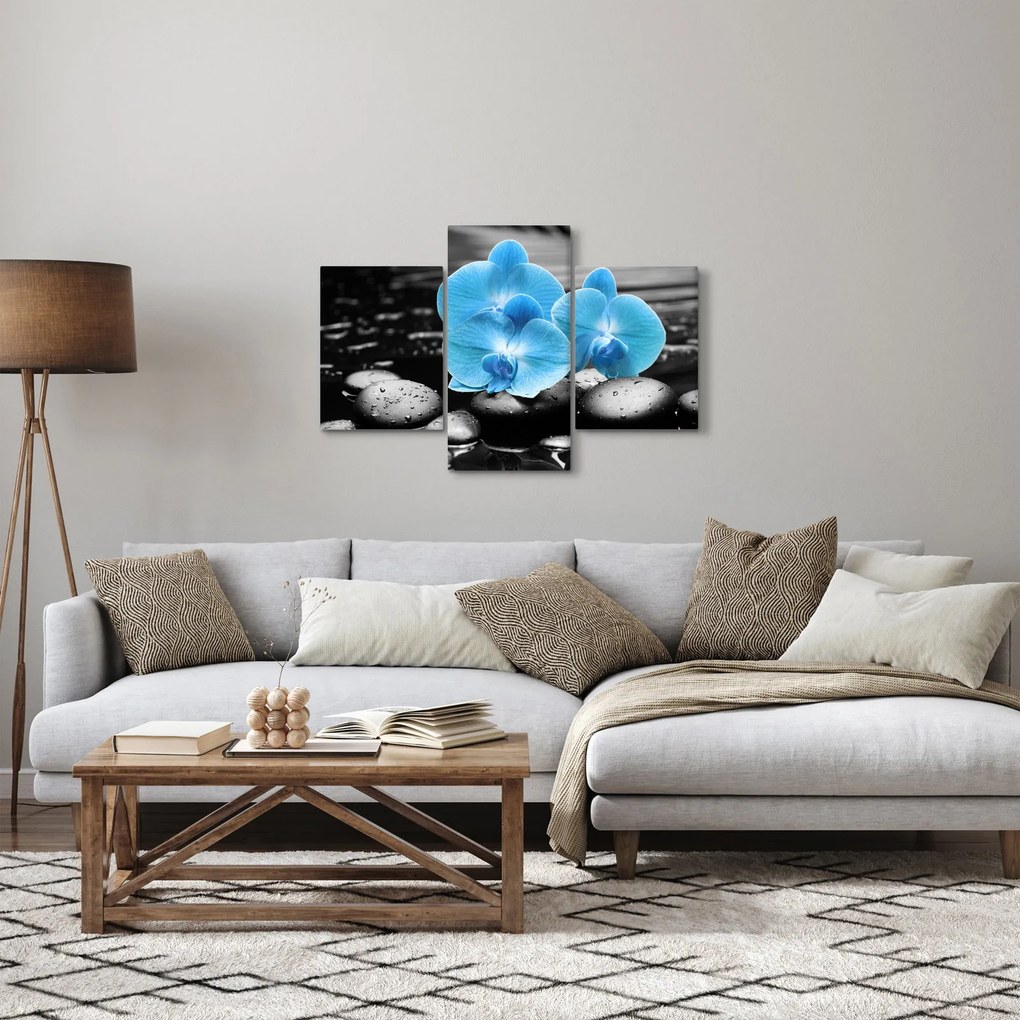 Kép - Kék orchidea (90x60 cm)