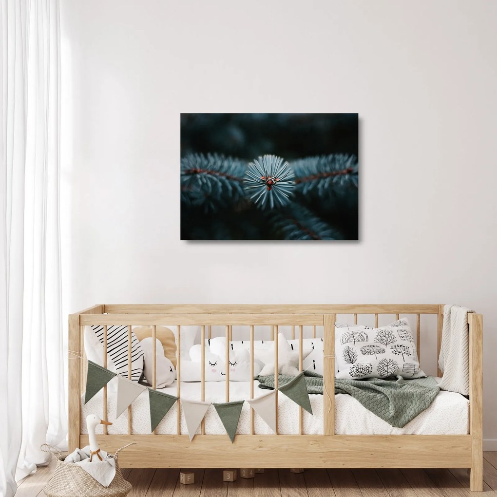 Egy tűlevelű fa gallyának képe (üvegen) (70x50 cm)