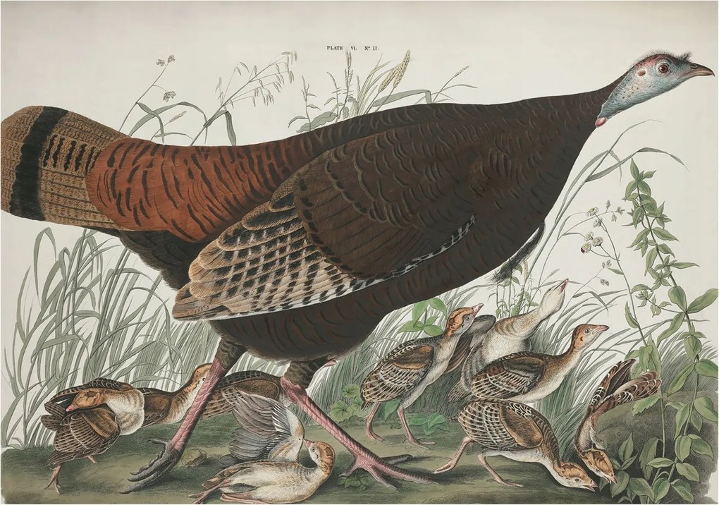 Divatos 3D Fali Tapéta Természetes harmónia 208x146 Ragasztóval