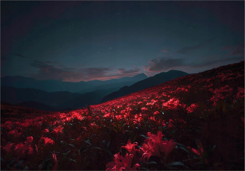 Vinil Tapéta Flizelin Virágok Mező Tájkép Természet Tájkép 368x254