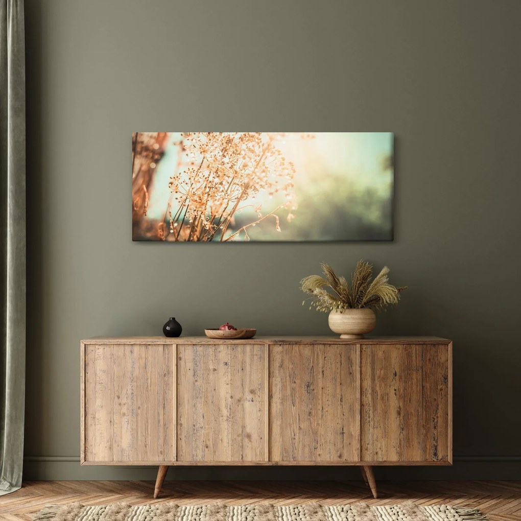 Kép - Növények eső után (120x50 cm)