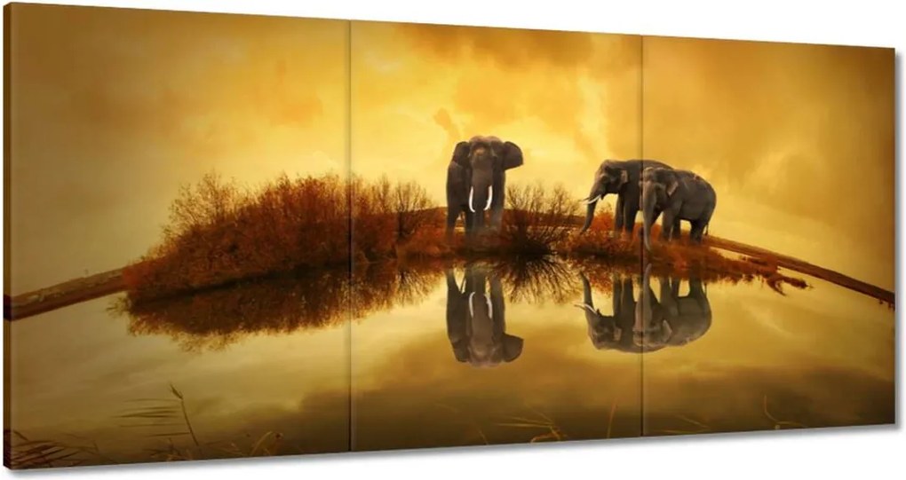 Vászonkép 180x90 Elefántok a vízparton