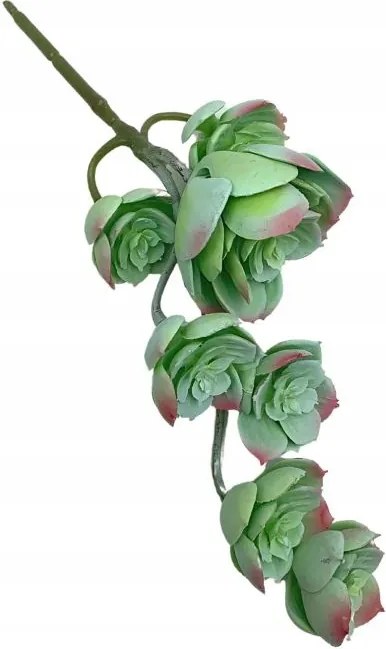 Pozsgás ág 30 cm világos zöld, rózsaszín