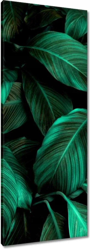 Vászonkép 40x100 Gyönyörű türkiz levelek