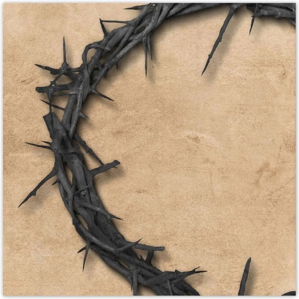 Poszterek 100x100 Töviskorona Tövisek