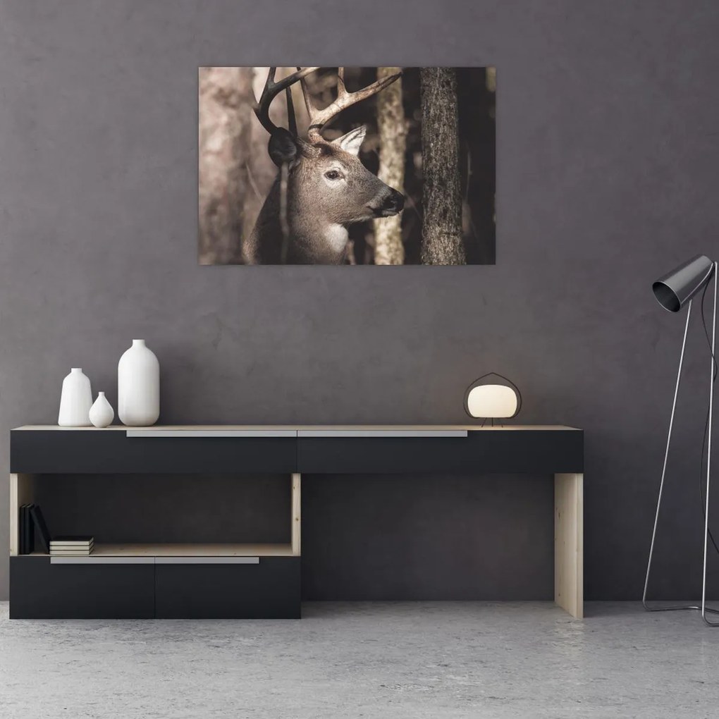 Kép - Szarvas az erdőben (90x60 cm)