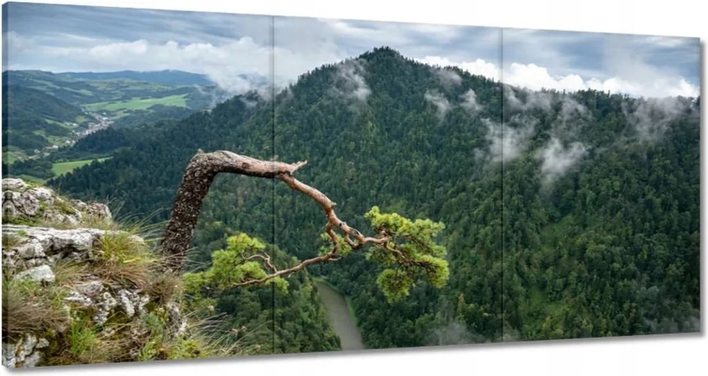 Festmények 180x90 Tájkép Sólyomkő