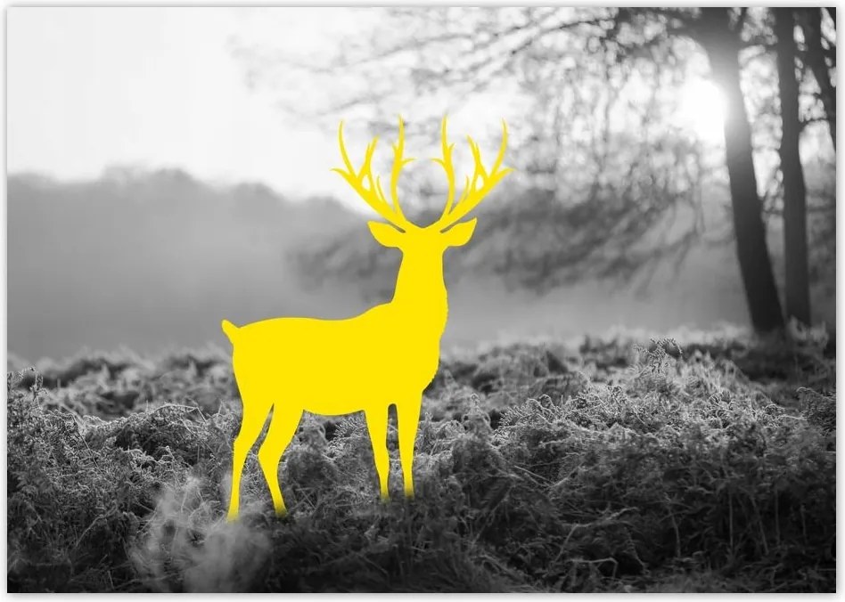 Poszterek A4 Szint Sárga szarvas Erdő Tájkép