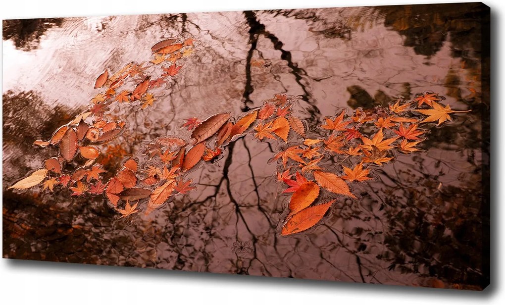 Vászonkép Levelek a vízen 120x60 cm
