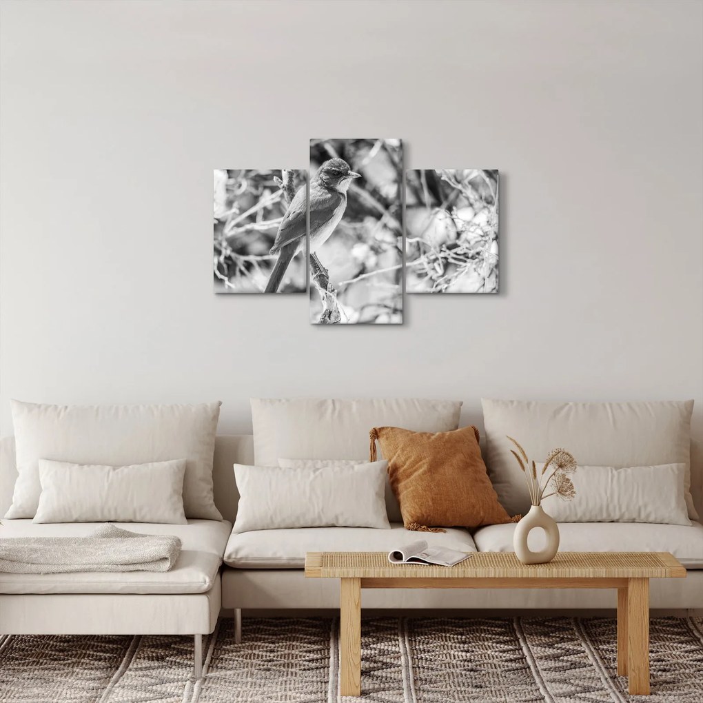 Kép - Kék madár télen (90x60 cm)