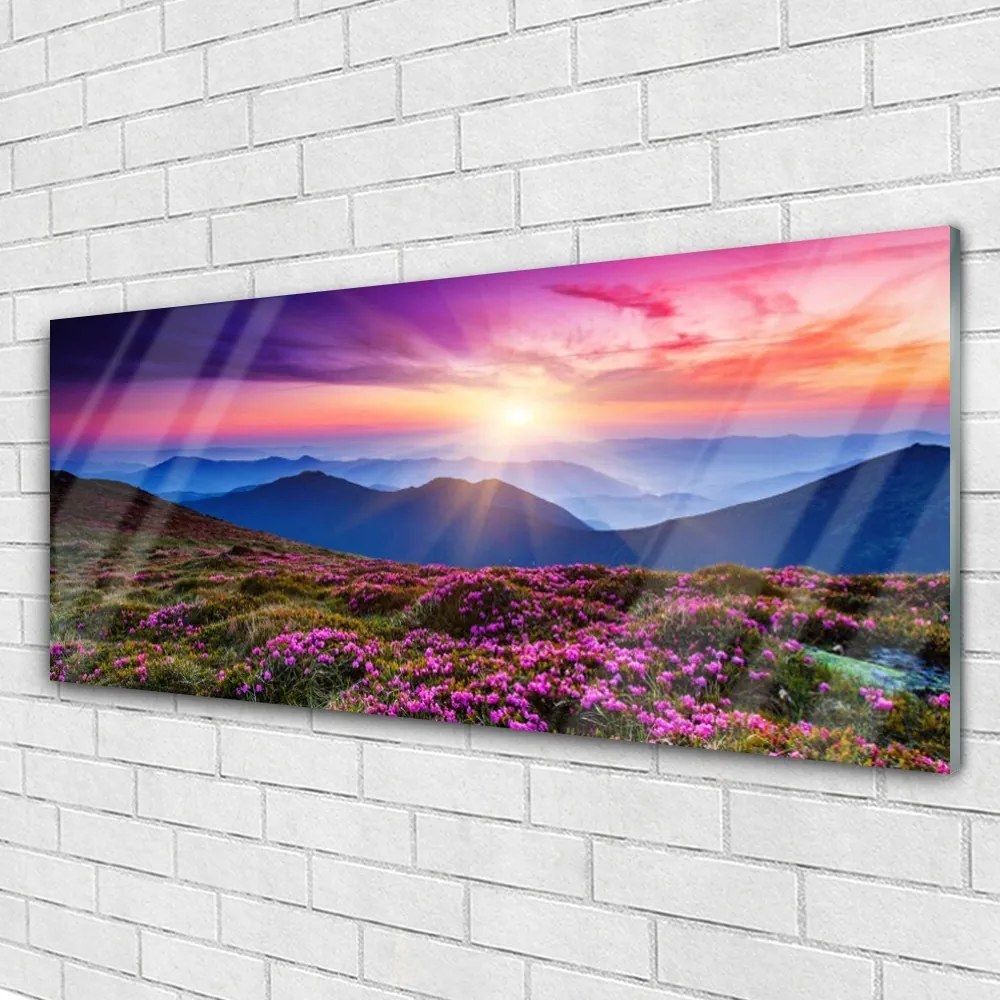 Modern üvegkép Mountain Meadow Virág Tájkép 120x60cm