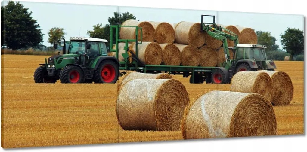 Vászonkép 150x70 Aratás Szalma Bálna Traktorok