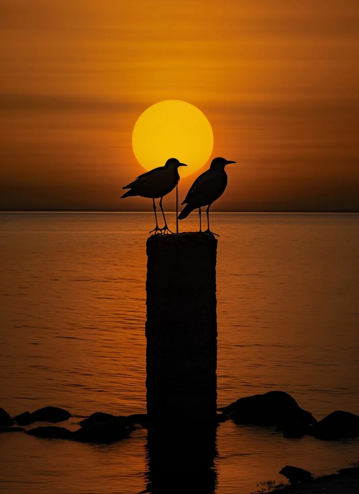 Poszter 40x55cm Beszélgetések alkonyatkor