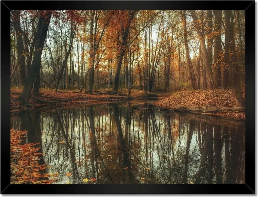 Poszterek keretben 40x30 Őszi táj Tájkép