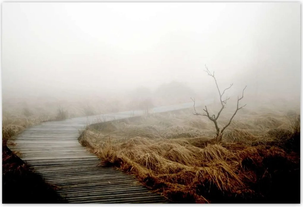 Poszterek 155x105 Reggeli fények