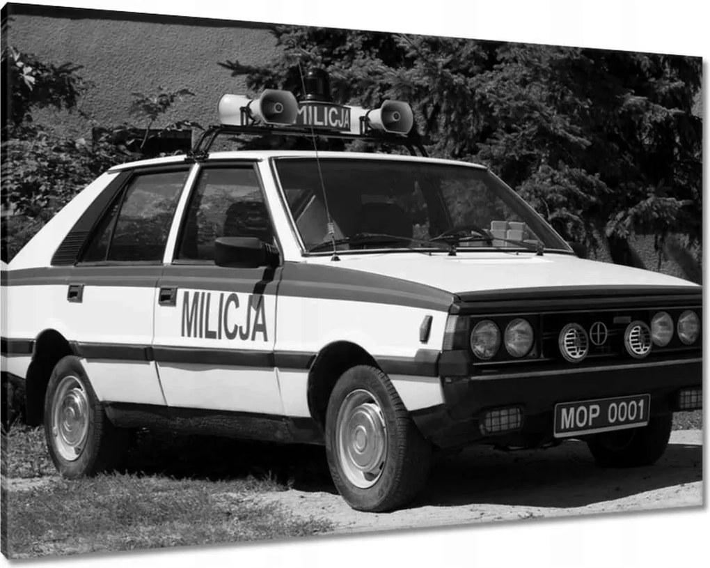 Vászonkép 100x70 Military Polonez