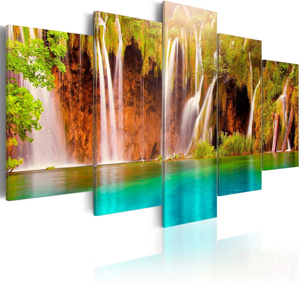 Kép - Forest waterfall