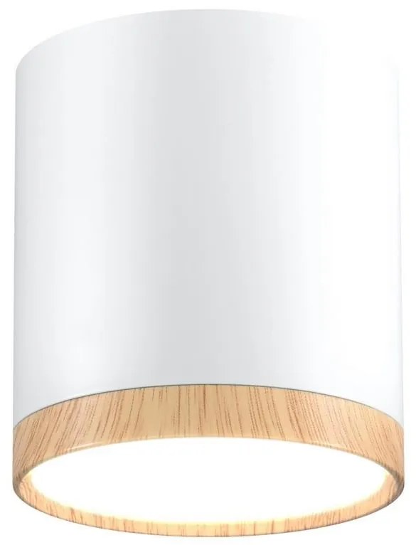 LED Mennyezeti lámpa TUBA LED/5W/230V fehér/bézs