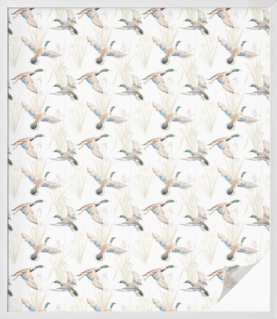 Öntapadós Védőfólia Szélvédőre Madarak Természet 100x116 cm