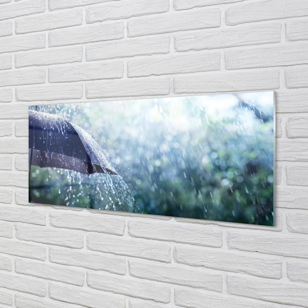 Akrilkép Esernyő eső esik 100x50 cm