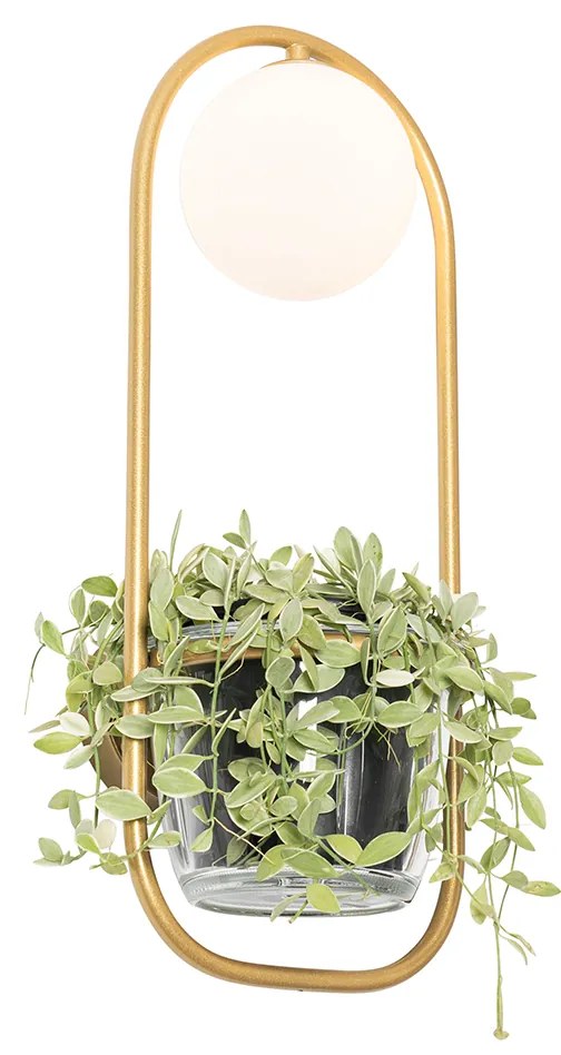 Art Deco fali lámpa arany fehér üveggel - Isabella