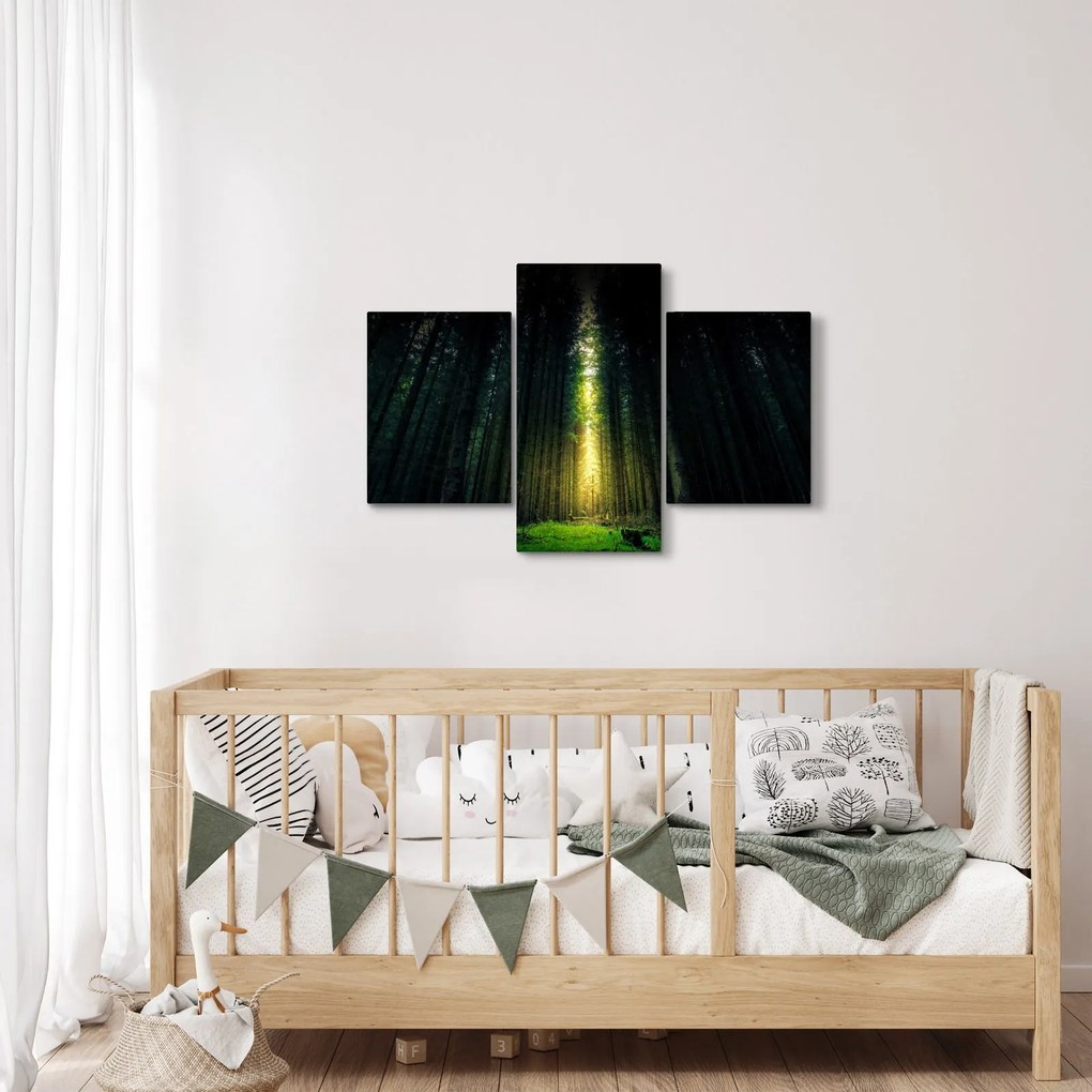 Sötét erdő képe (90x60 cm)