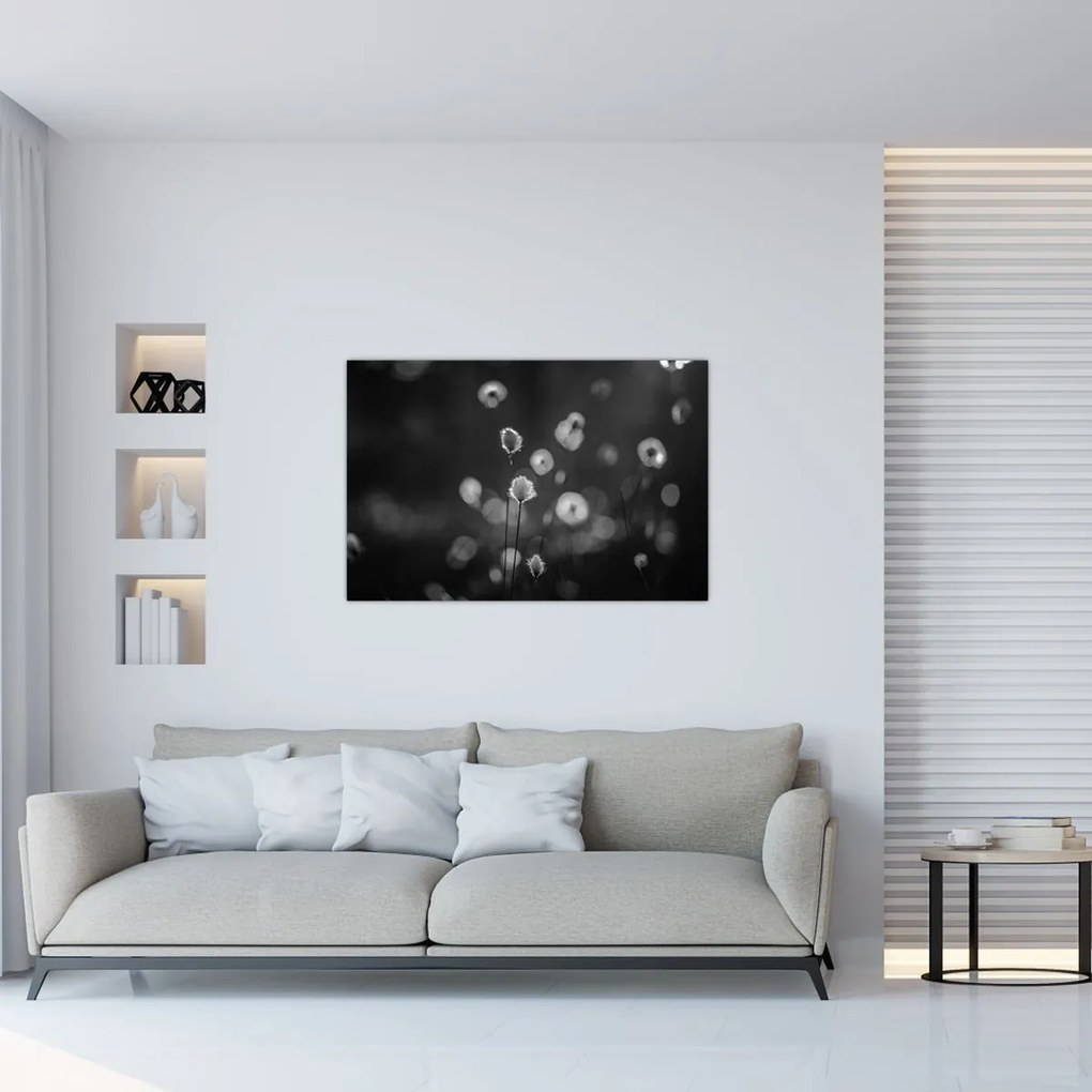 Kép - Pamutfű a réten (90x60 cm)