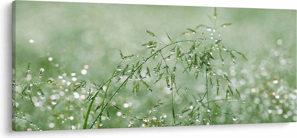 Kép - Reggeli harmat a fűszálakon (120x50 cm)