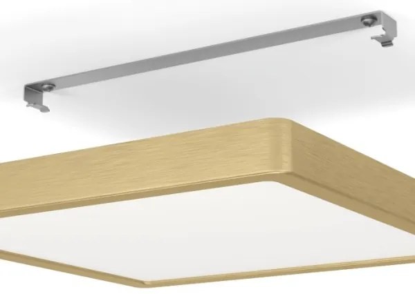 Eglo 900184 - FUEVA mennyezeti LED lámpatest/20,5W/230V