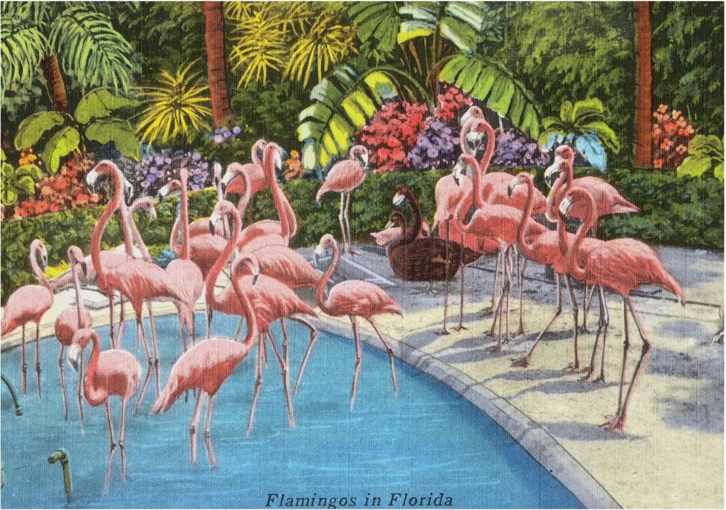 Tapéta Flizelin Falfestmény Prémium Egzotikus jelenet 208x146 Ragasztó